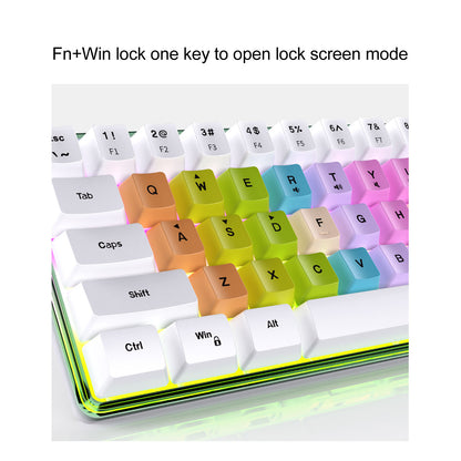 61 Keys Mechanical Keyboard, Wired Mechanical Keyboard Beautiful Small 61 Keys RGB Backlight For Office Work